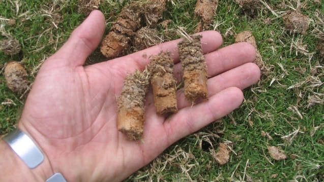 aeration and overseed