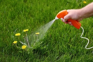 herbicide service