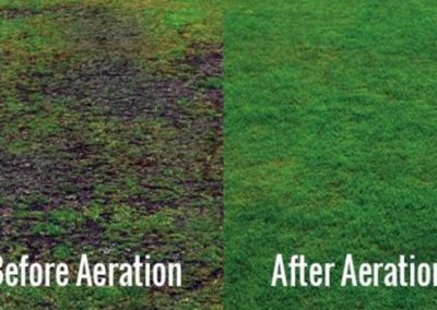 Lawn Aeration Before and After Chatham
