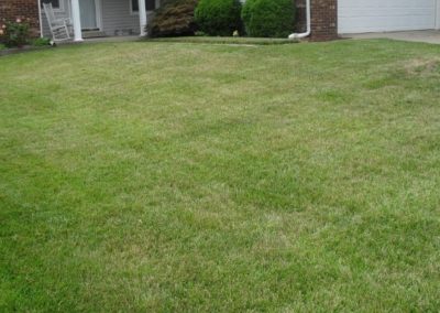Lawn Services Chatham