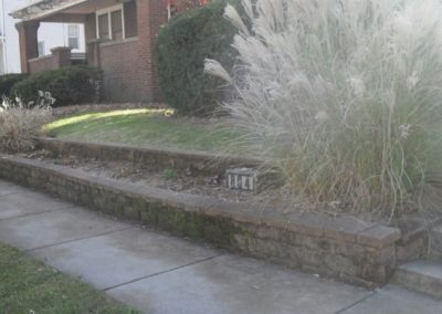Leaf Clean Up Services Springfield