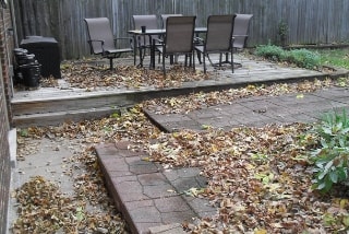 leaf removal springfield il