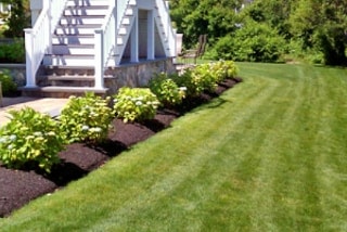 all natural lawn care