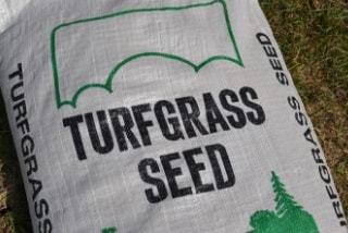 premium grass seed