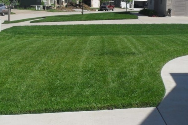 Yard Mowing Company Springfield